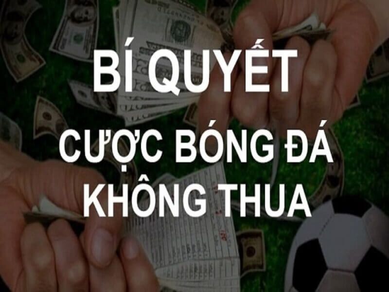 chơi cá cược