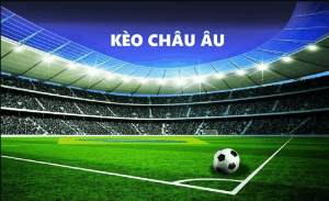 Cá độ kèo châu Âu