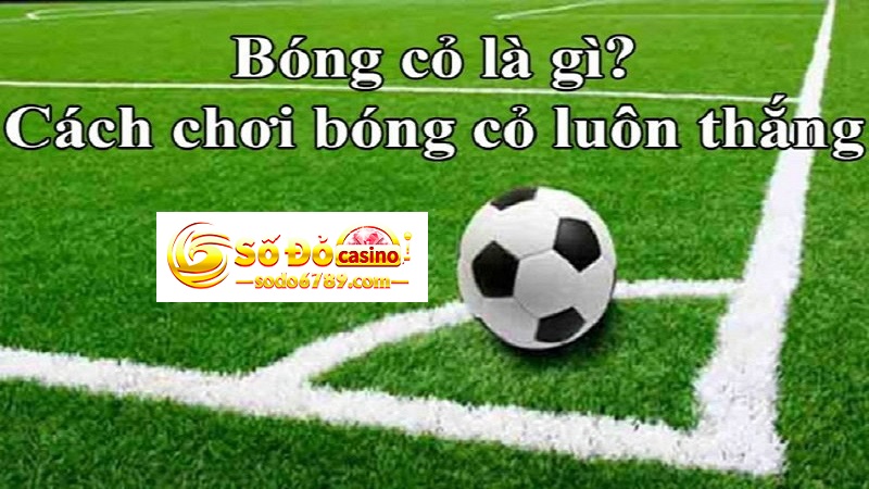 chơi cược bóng cỏ Sodo66