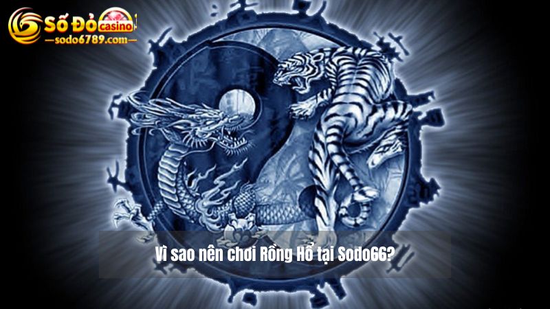 Vì sao nên chơi game rồng hổ Sodo66 online tại Sodo66 casino?